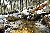 Potok Waksmundzki - Tatry Polskie