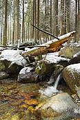 Potok Waksmundzki - Tatry Polskie