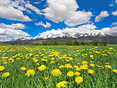 Panorama Tatr z okolic Smokowca - Tatry Słowackie