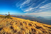 Na Tarnicy - Bieszczady