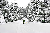Dolina Chochołowskia  - Tatry Polskie