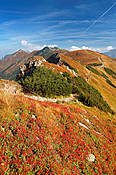 Okolice Przełęczy Ornaczańskiej - Tatry Polskie