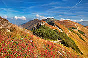 Okolice Przełęczy Ornaczańskiej - Tatry Polskie