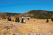 Polana Kalatówki  - Tatry Polskie