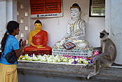 Sri Lanka, Anuradhapura (UNESCO)